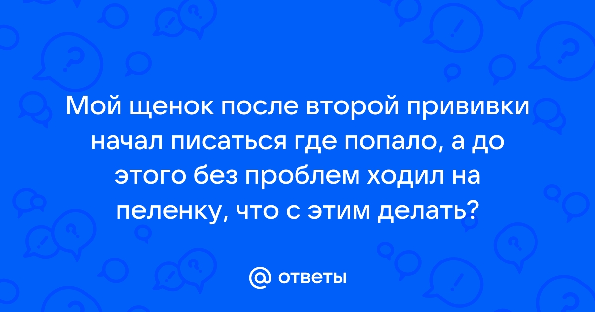 Как отучить щенка гадить дома и научить проситься в туалет