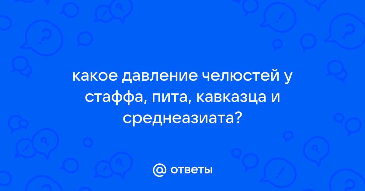 Ответы Mail.ru: какое давление челюстей у стаффа, пита, кавказца и  среднеазиата?