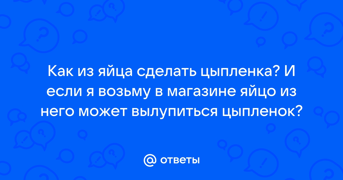 Можно ли вывести цыпленка из яйца, купленного в магазине?