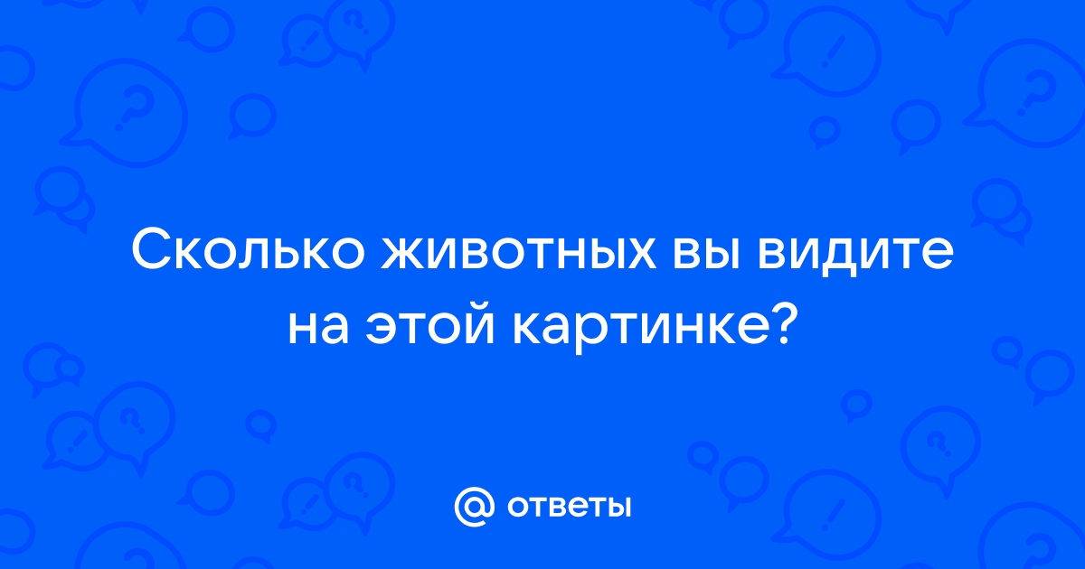 Сколько животных вы видите на картинке