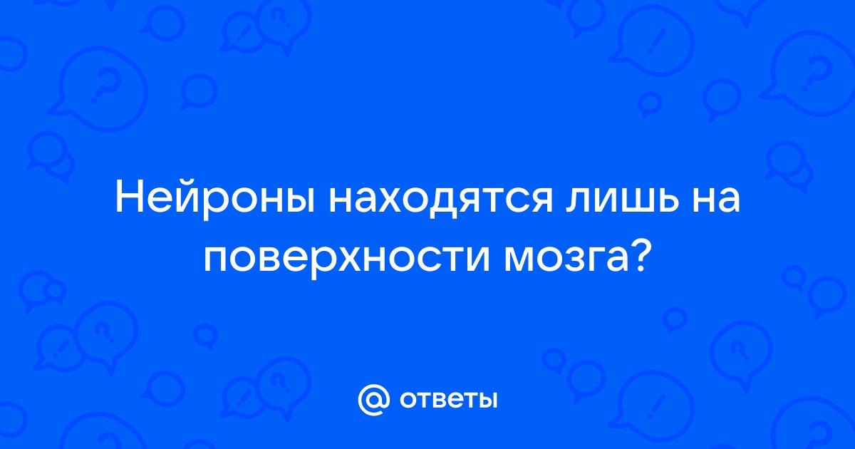 Строение центральной нервной системы (ЦНС)