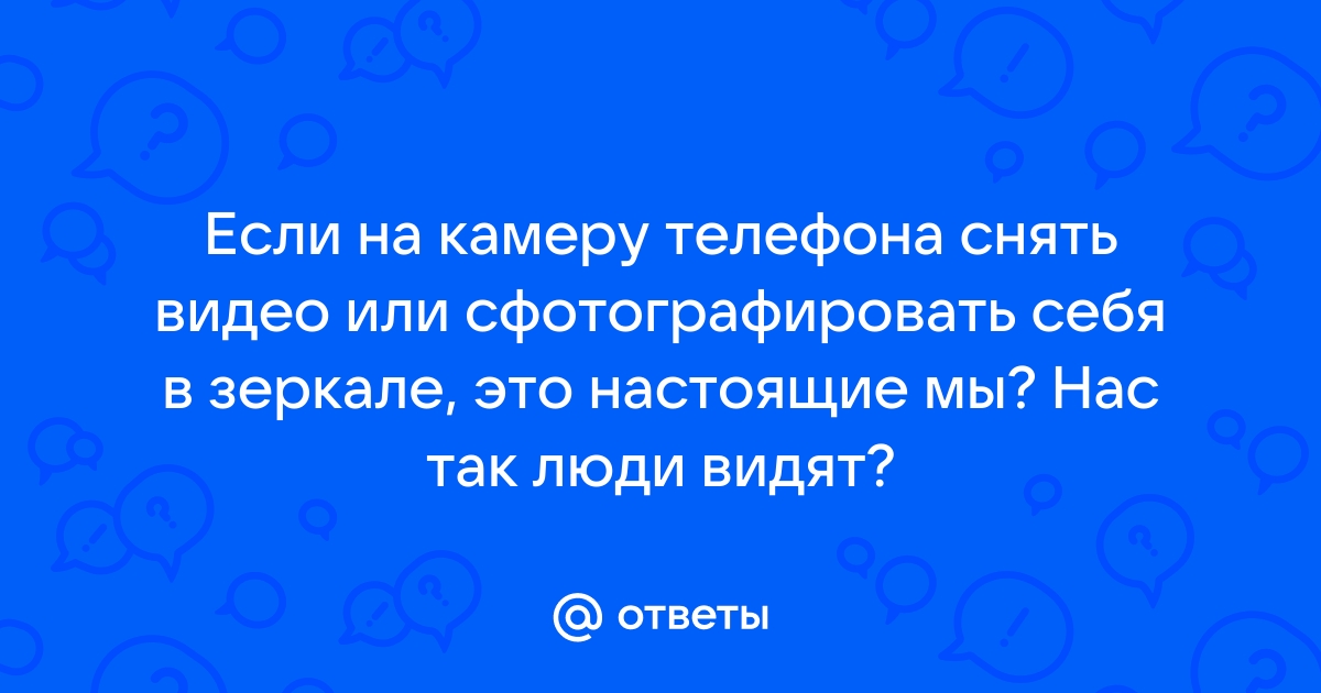 Любопытная лиса украла телефон зоозащитника и сняла себя на видео