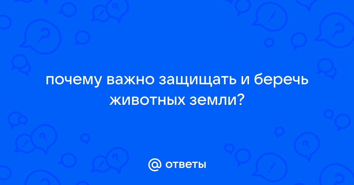 Почему важно беречь и защищать животных?