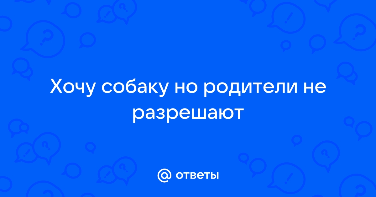 15 плюсов завести собаку