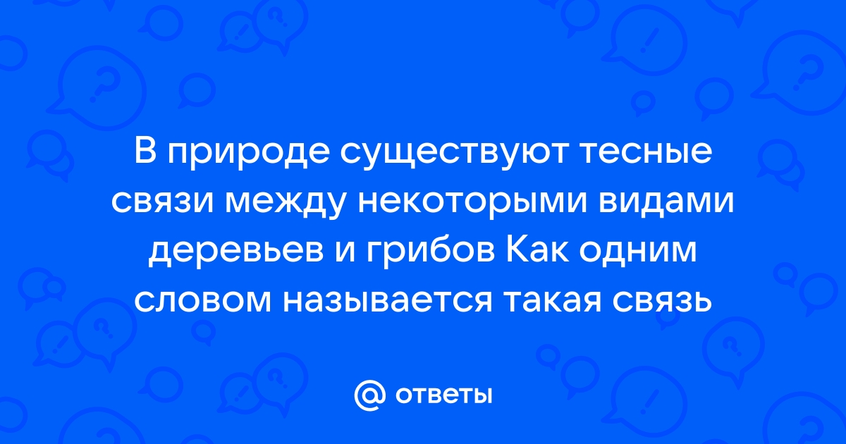 Чтобы отношения сложились. Беседа с психологом Джоном Готтманом | Большие Идеи