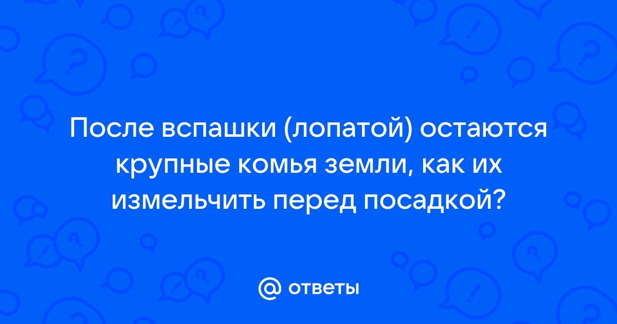 Как часто ломается ока