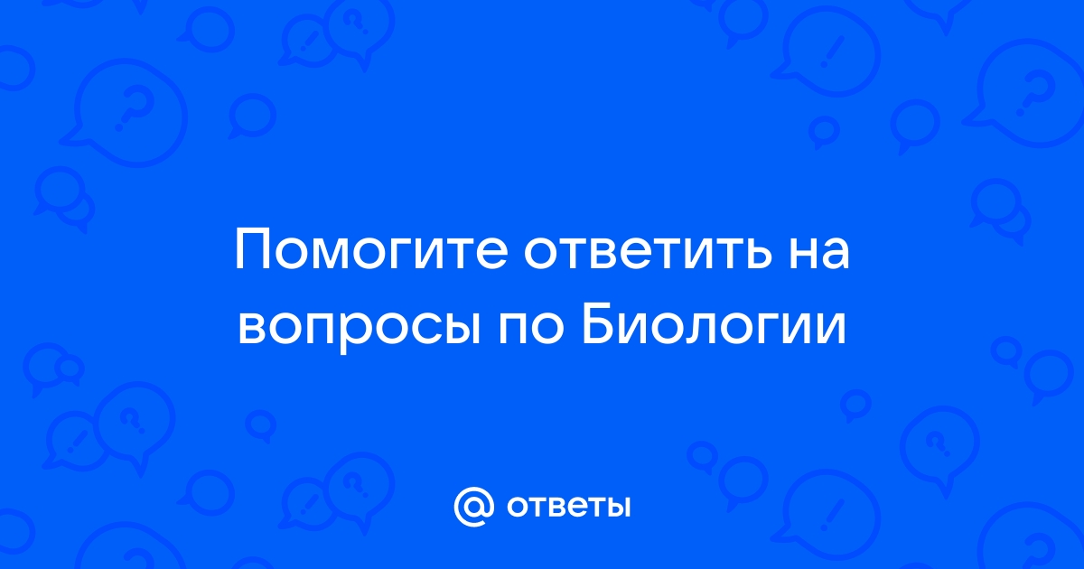 Рассмотри изображение устьиц и ответь на вопросы