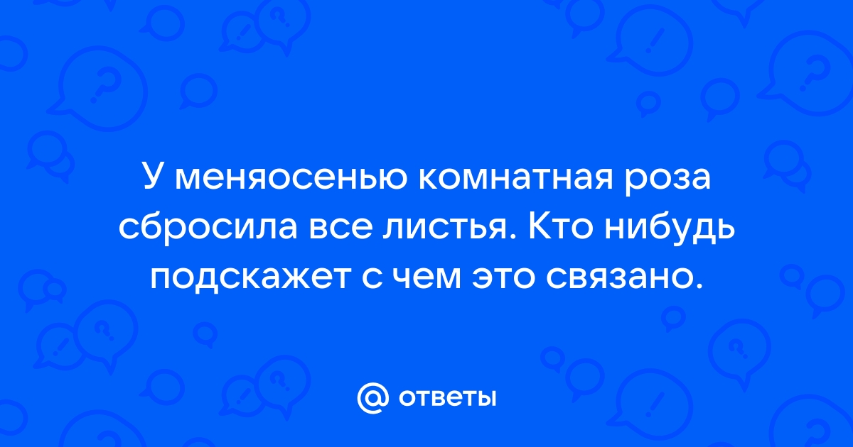 Роза сбрасывает листья. Новые побеги слишком светлые...