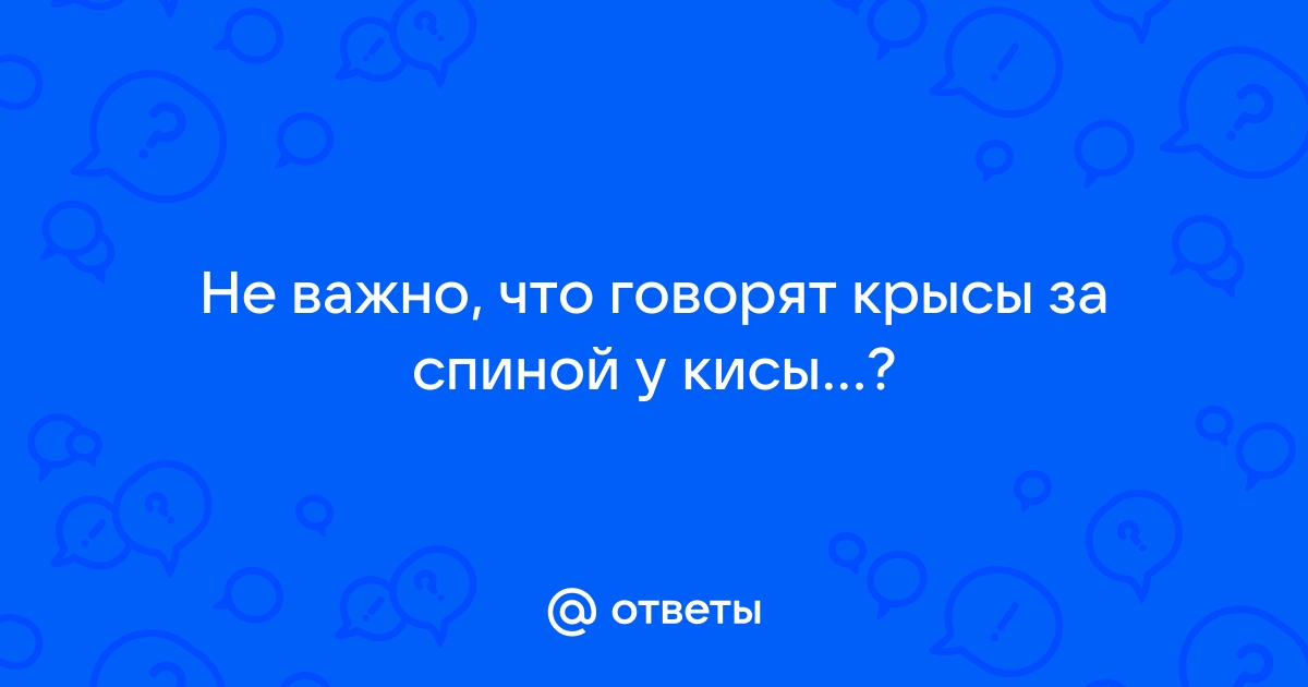 Картинка не важно что говорят крысы за спиной у кисы