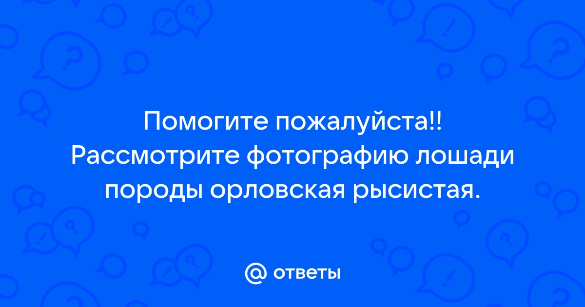 Рассмотрите фотографию пятнистой лошади выберите характеристики соответствующие