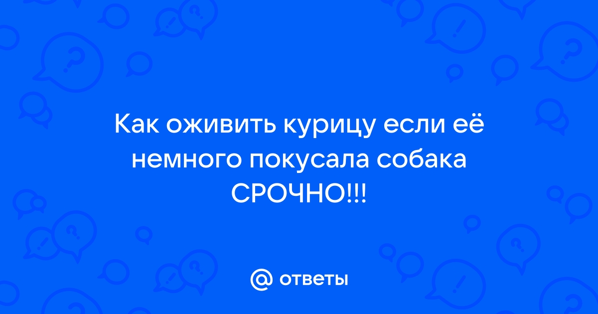 Как наказать хозяина собак, которые съели нашего кролика?