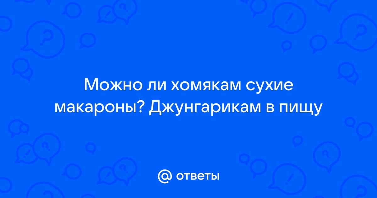 Можно ли давать хомяку хлебобулочные изделия