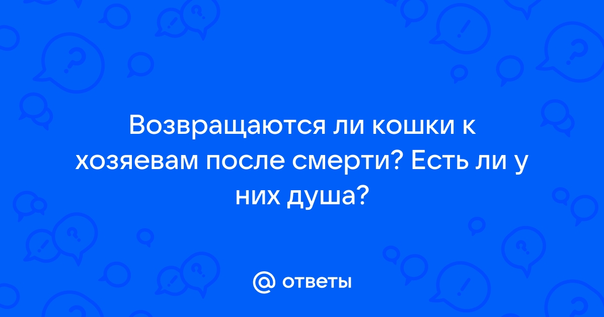 Куда уходят коты после смерти самая правдивая версия