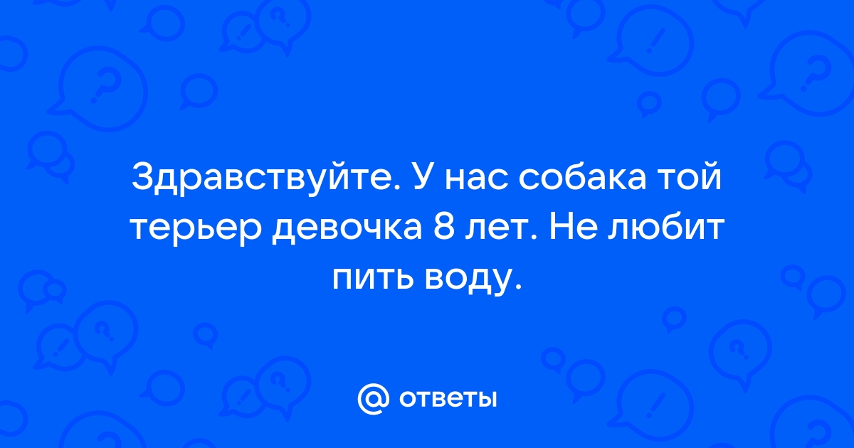 Почему важен доступ собаки к чистой воде