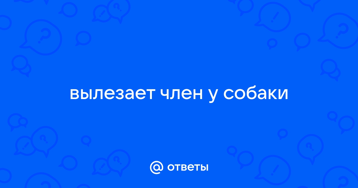 член торчит из трусов видео наблюдайте жаркие порно ролики без регистрации