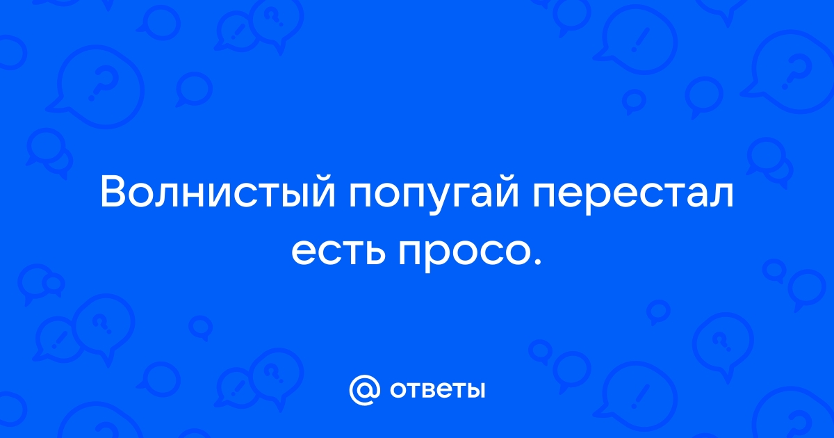 Симптом: попугай ничего не ест и не пьет - лечение