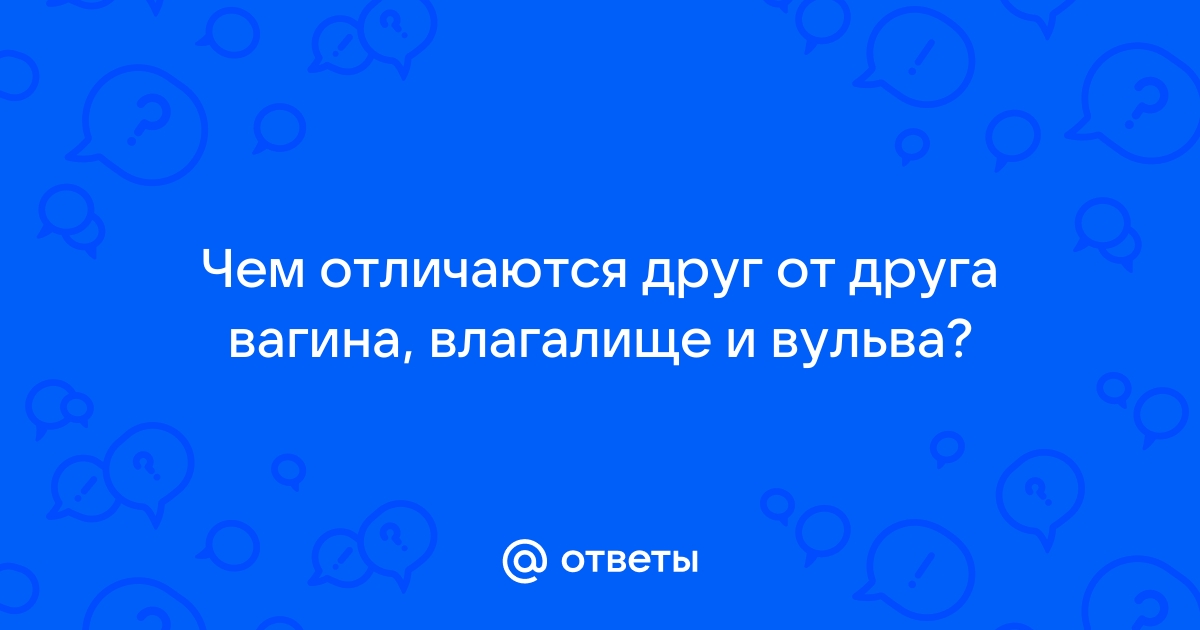 Анатомия женских половых органов - Центр лапароскопии в Москве