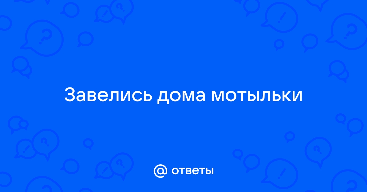 В дачном доме завелись мотыльки