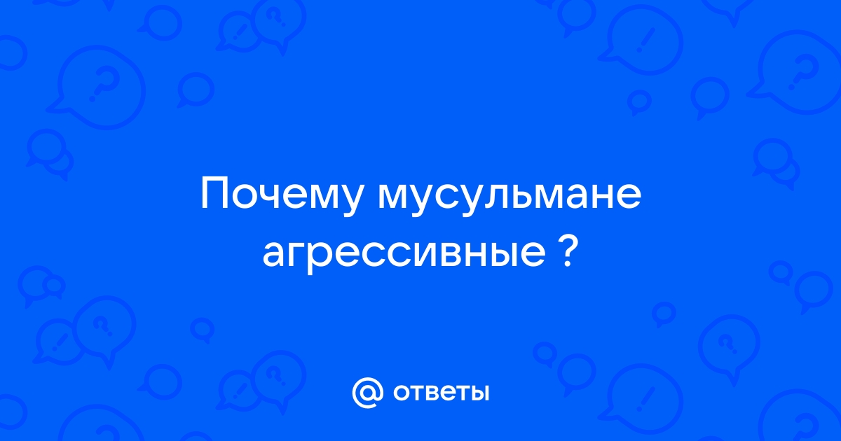 Евгений Шурыгин: «Ислам не агрессивен – есть агрессивные представители»