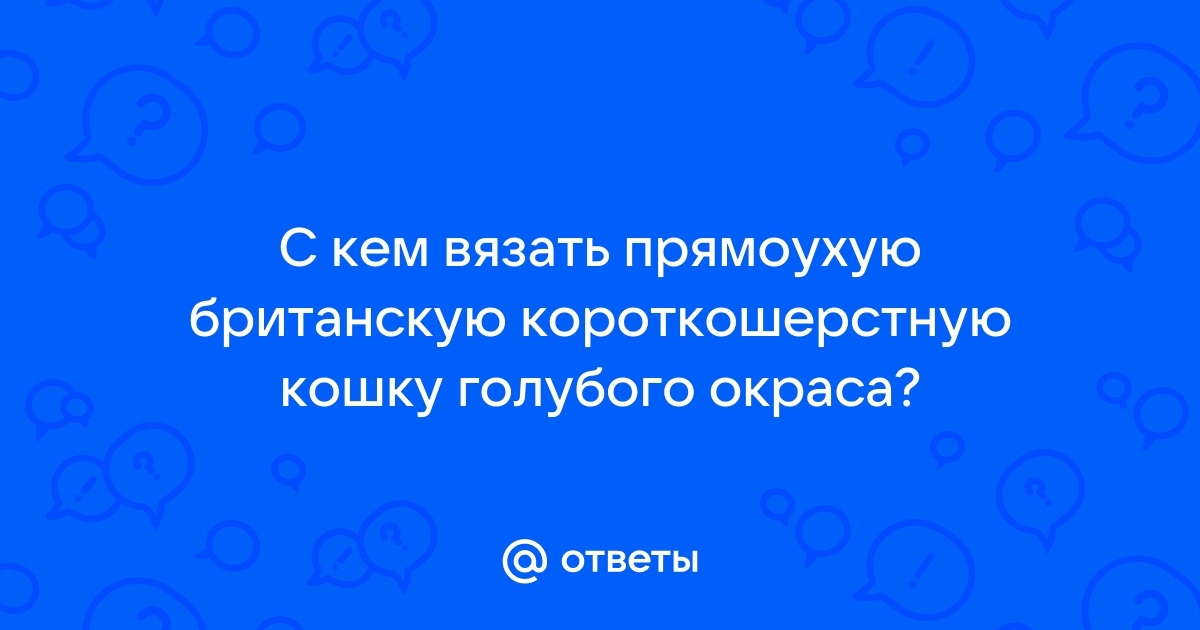 Консультации