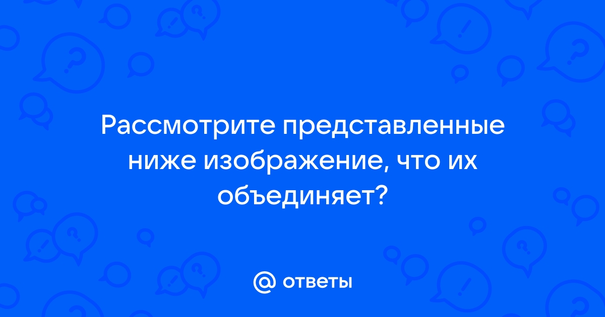 Какое слово объединяет представленные ниже изображения