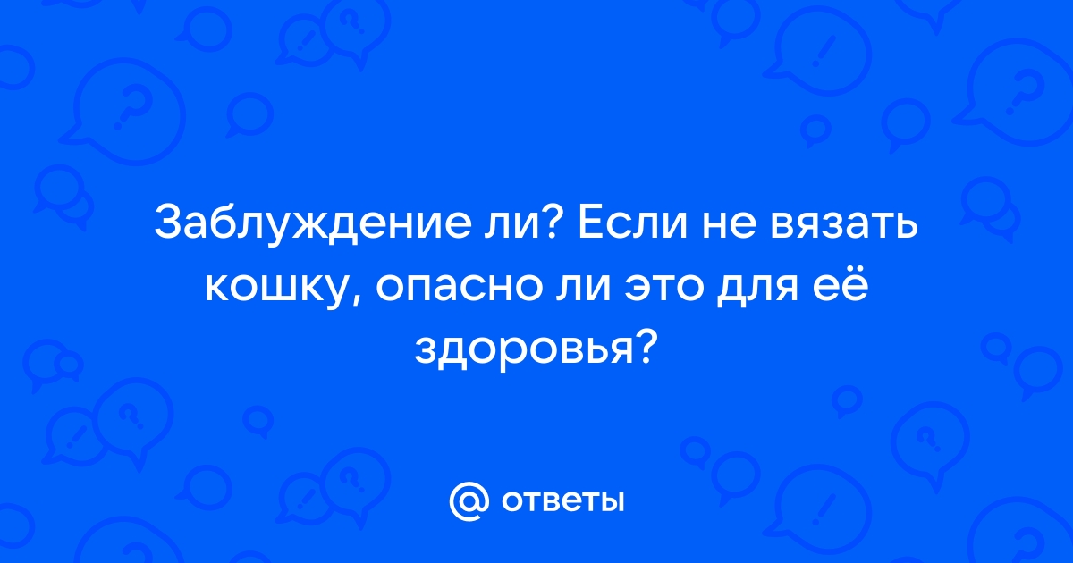 Вязка кошек: все, о чем вы боялись спросить