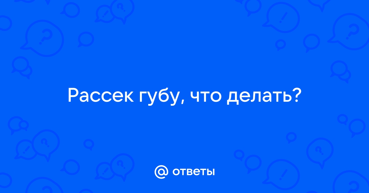 Что делать если разбили губу | Tvoyzubnoy | Дзен