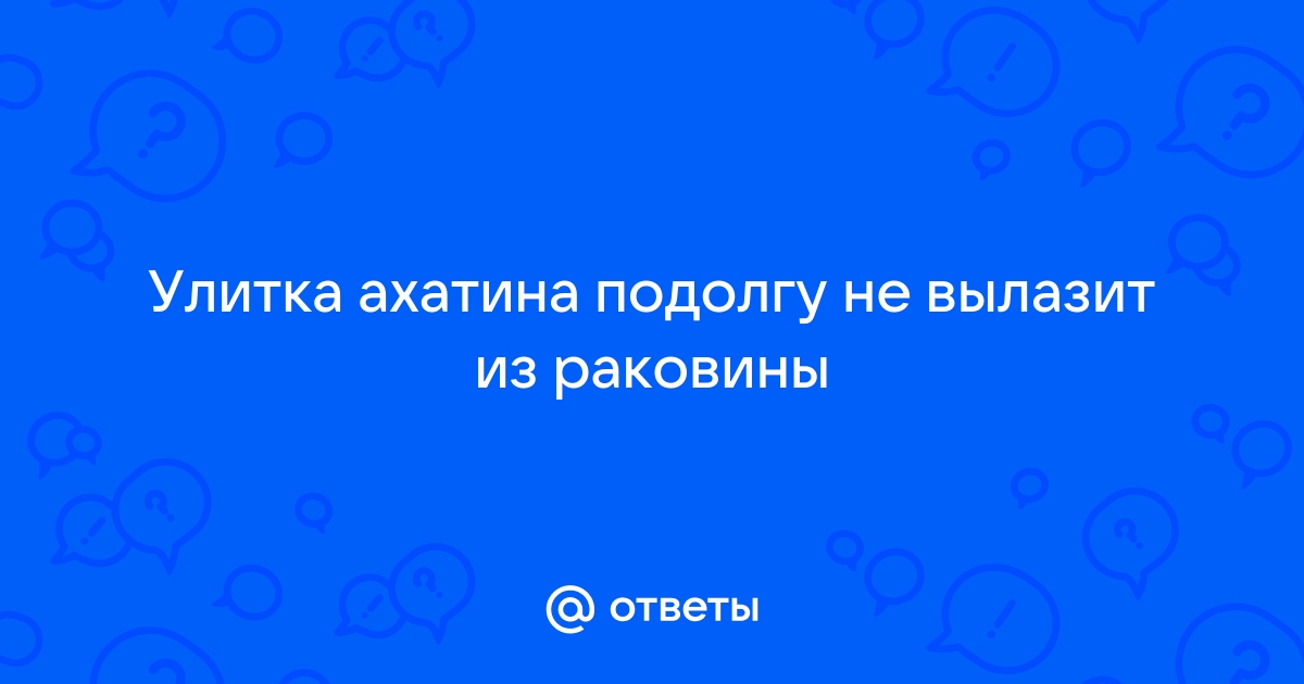 Что делать если улитка ахатина закупорилась в раковине и не вылазиет