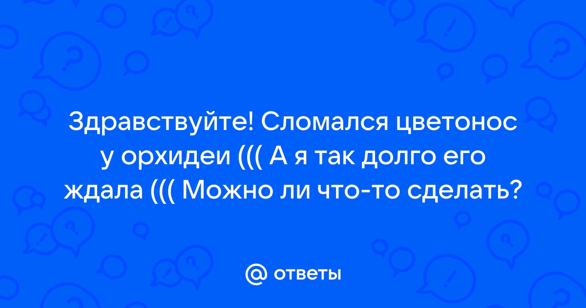 Что делать когда у орхидеи ломается цветонос