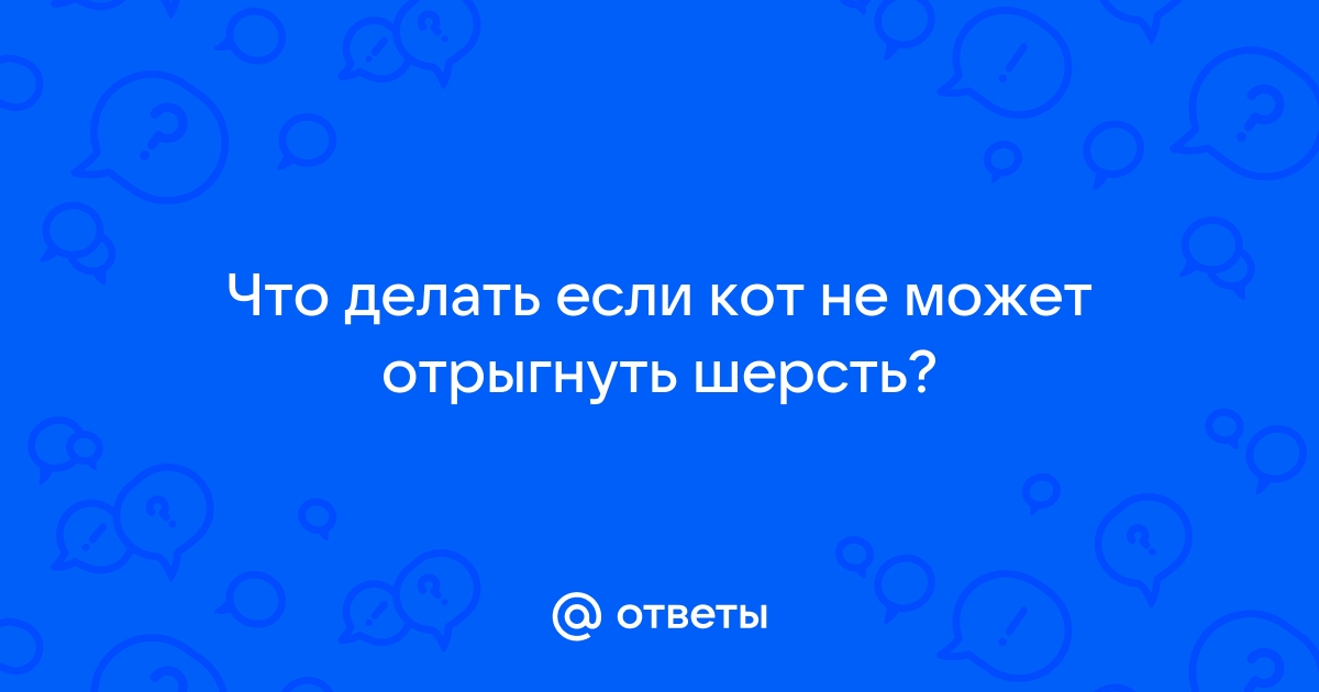 Как вывести шерсть из желудка кошки? | Хвост Ньюс