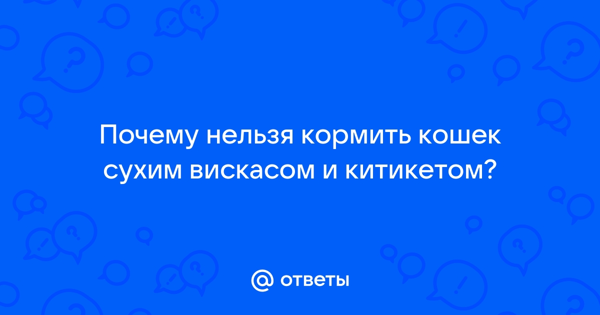 Ветеринар запретила нам кормить кошку дешевыми кормами, потому что в них мало пользы