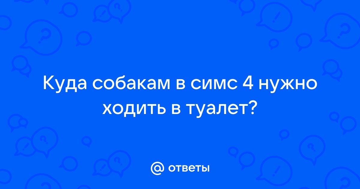 Как отучить собаку писать дома: советы как отучить собаку гадить в квартире