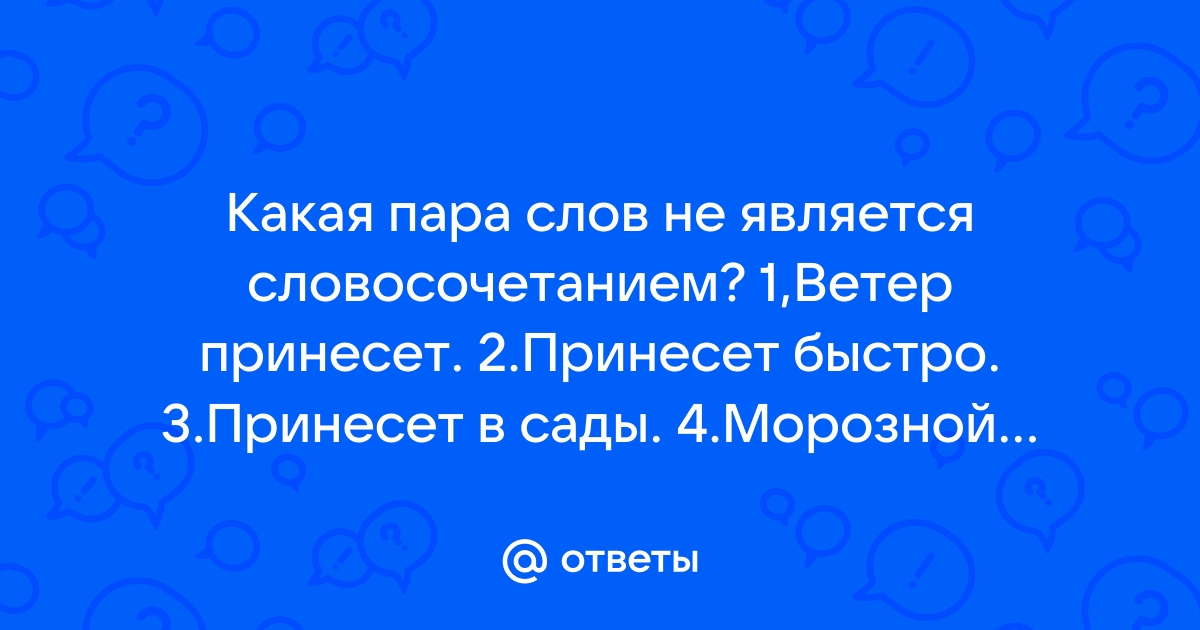 Какая пара слов является словосочетанием пишет письмо около компьютера выпал снег черный и белый