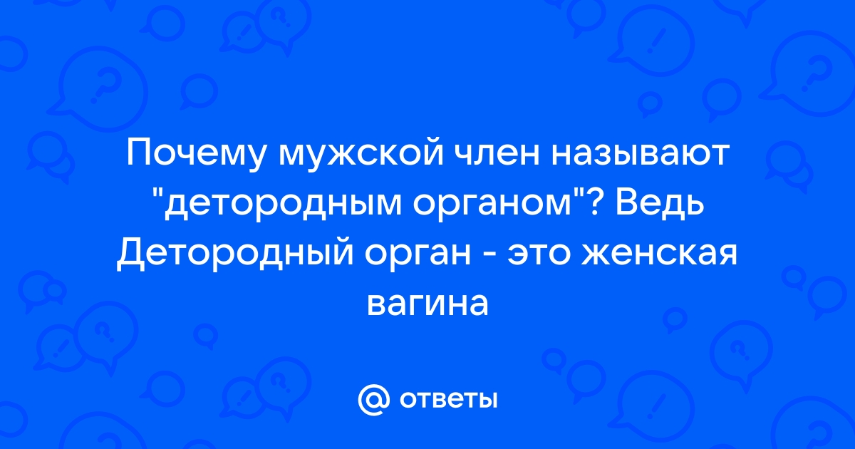 женский половой орган — Викисловарь