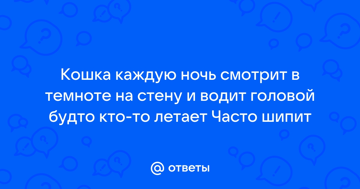 Тихо спит кусочек ночи на скамейке у ворот