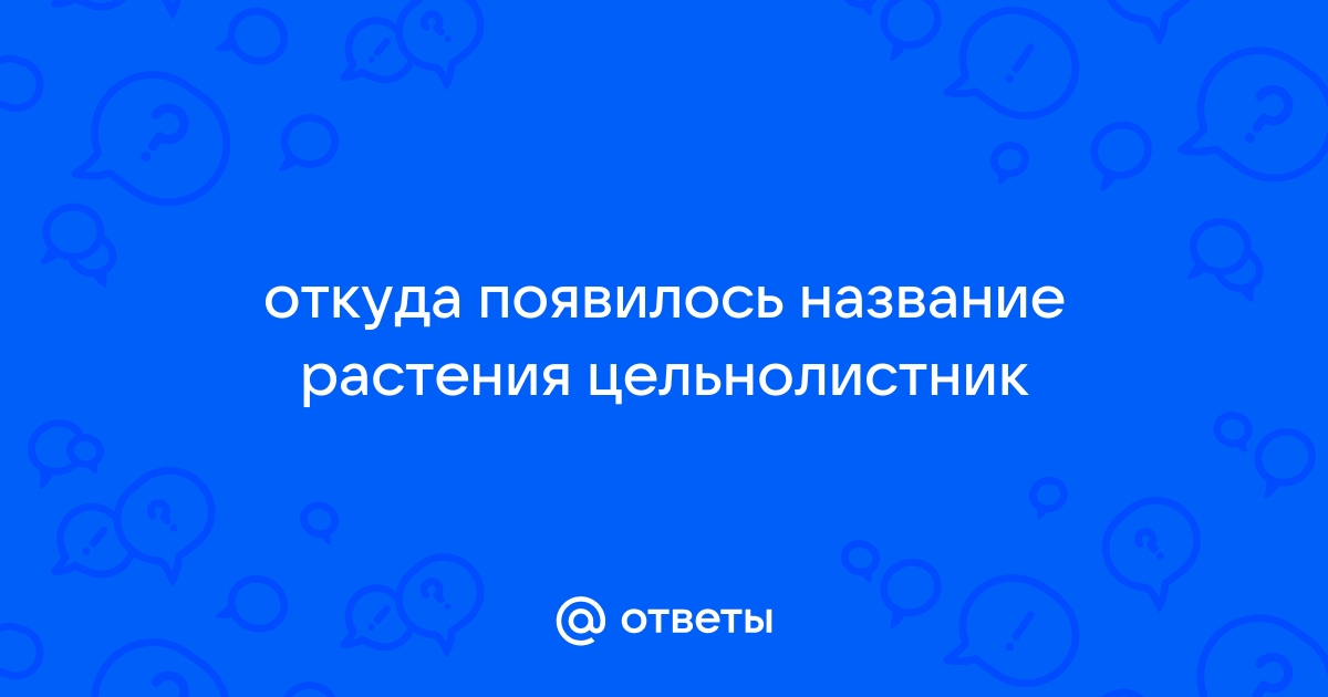 Откуда появилось название приора