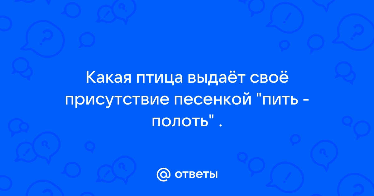 Пить полоть птица