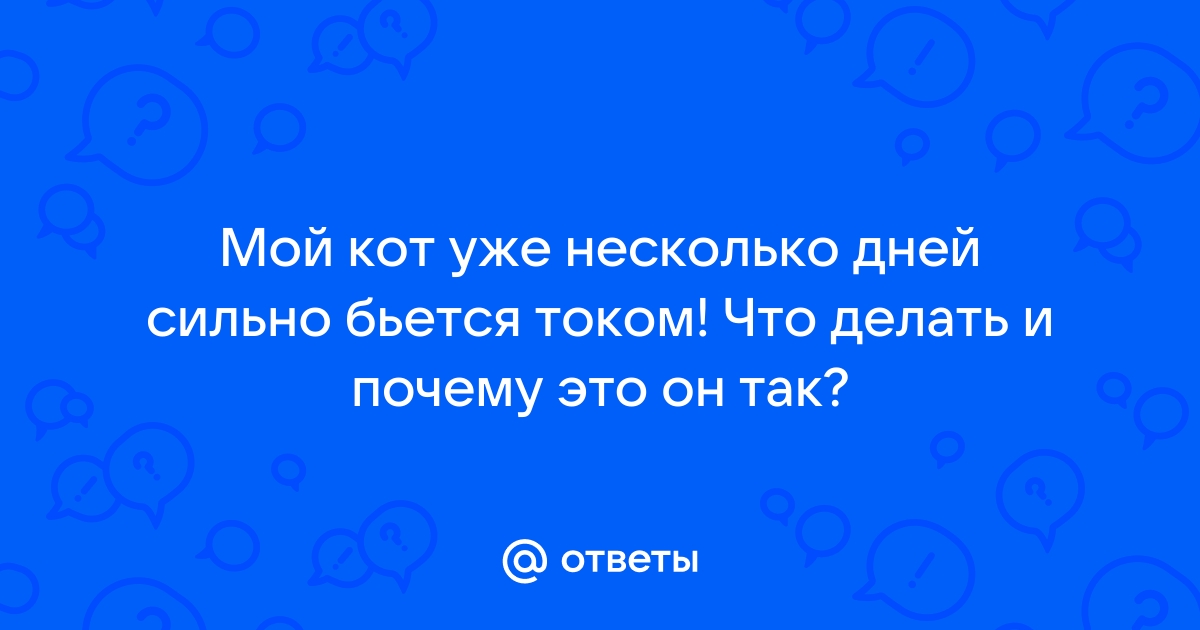 Удар электрическим током у кошек