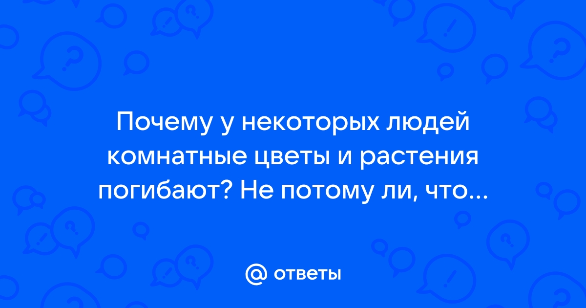 17 причин, почему домашние растения умирают