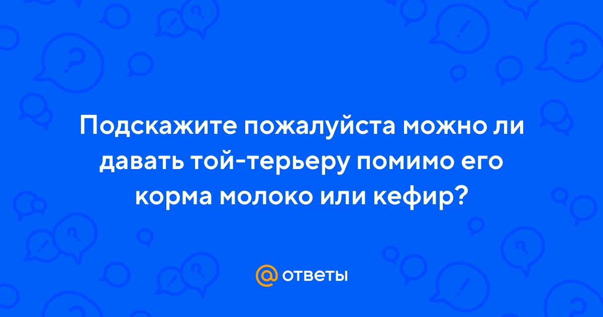 Ответы Mail.ru: Подскажите пожалуйста можно ли давать той-терьеру помимо  его корма молоко или кефир?