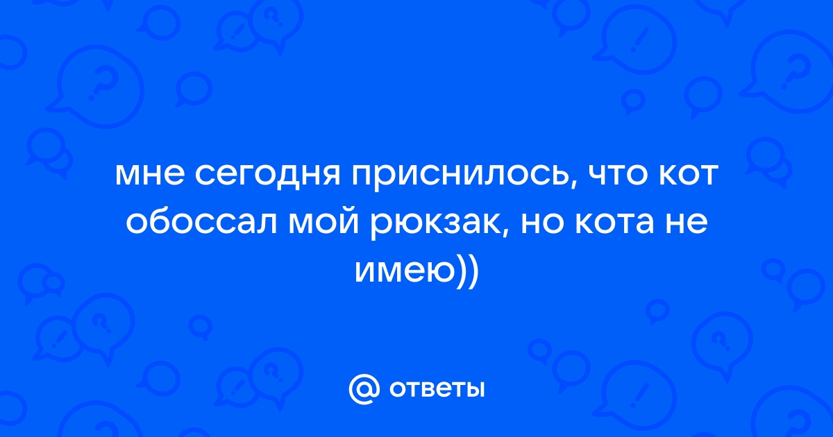 Кот обоссал всю комнату