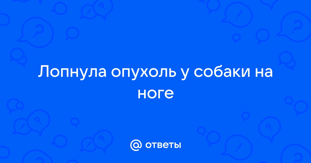 Лечение опухолей молочной железы у домашних животных