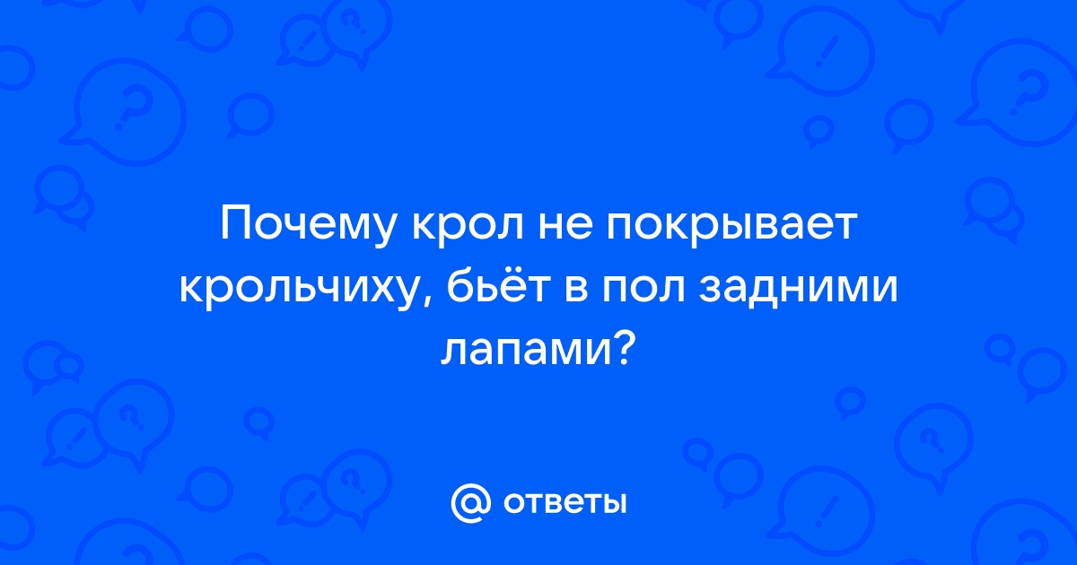 Кролики не спариваются: почему, что делать