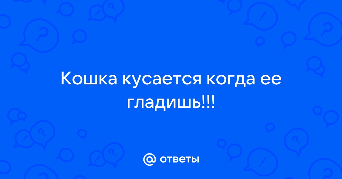 Почему кошка кусается и нападает на человека