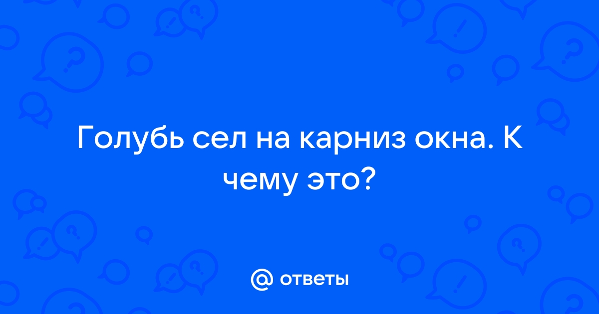 Голубь сел на карниз окна к чему это