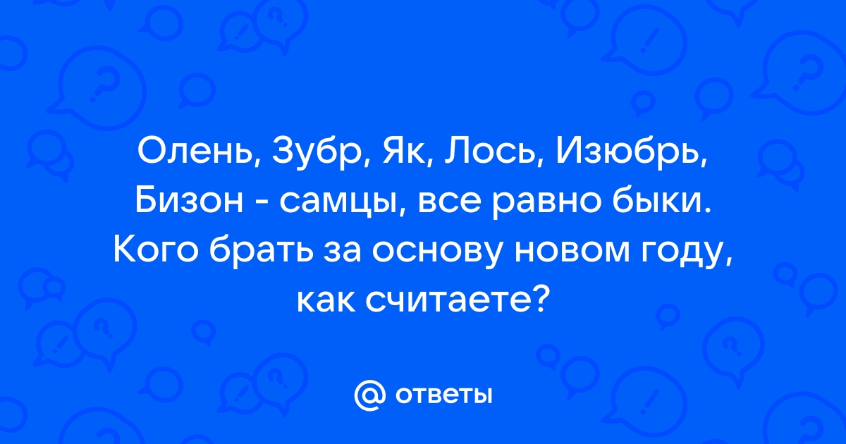 Березинский заповедник: как в нем живут медведи?