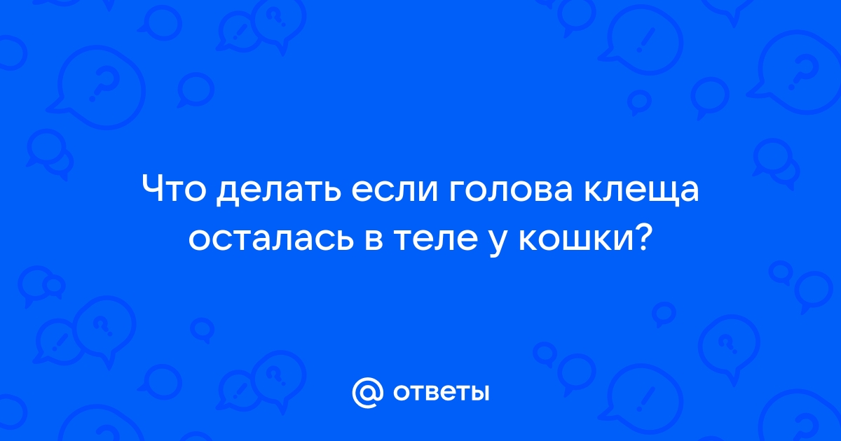 Как вытащить клеща у собаки? | Ветеринарная аптека Добропесик