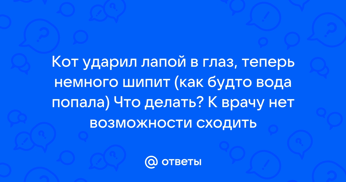 Тактика лечения травм глазного яблока, нанесенных кошачьими когтями