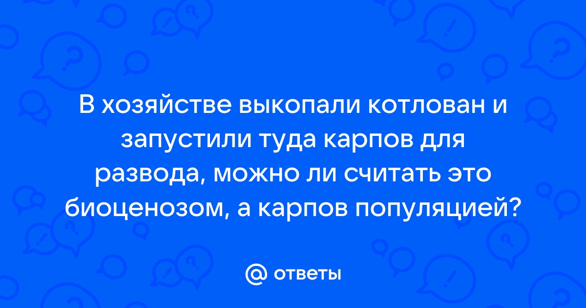 Вырытый в ходе изъятия грунта котлован заполнили водой и запустили туда карпов для воспроизводства