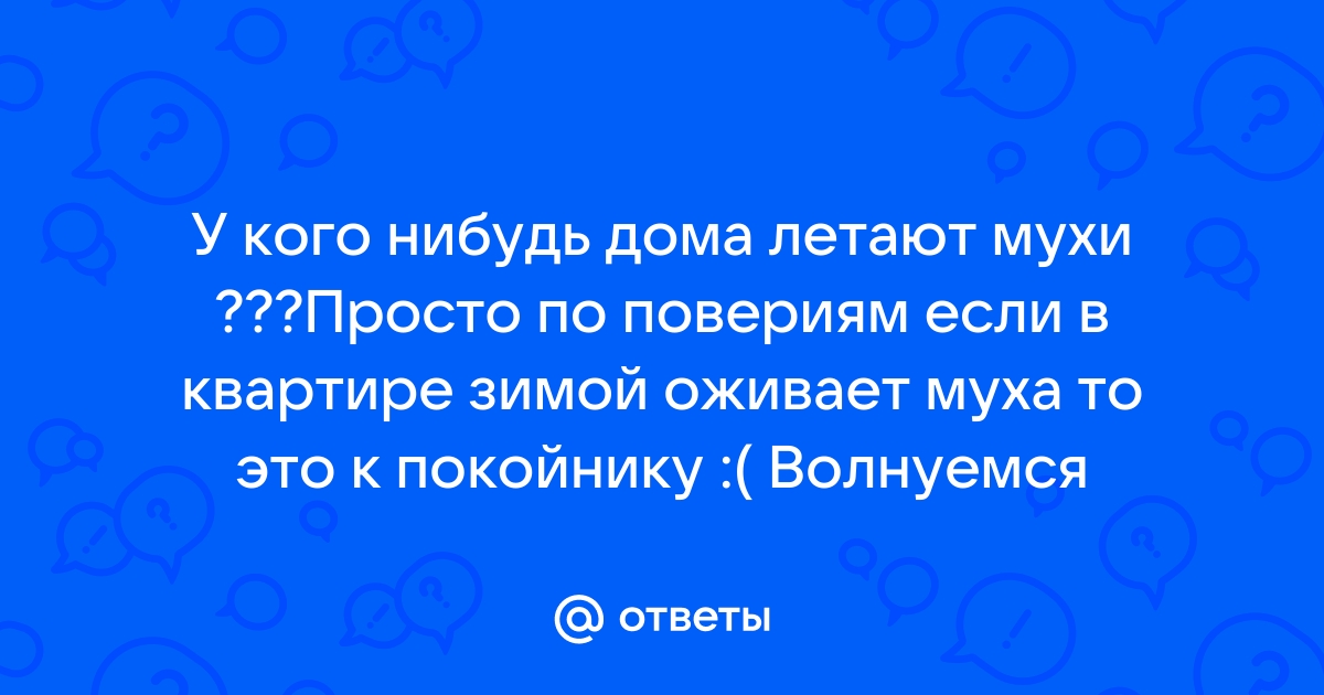 Откуда берутся мухи в квартире зимой